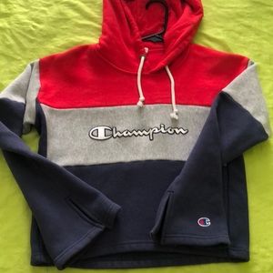 Champion sweater